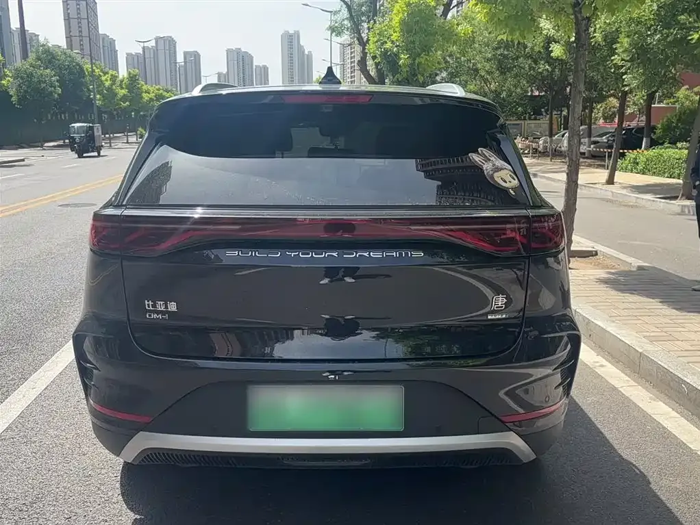 BYD Tang New Energy — фото 10
