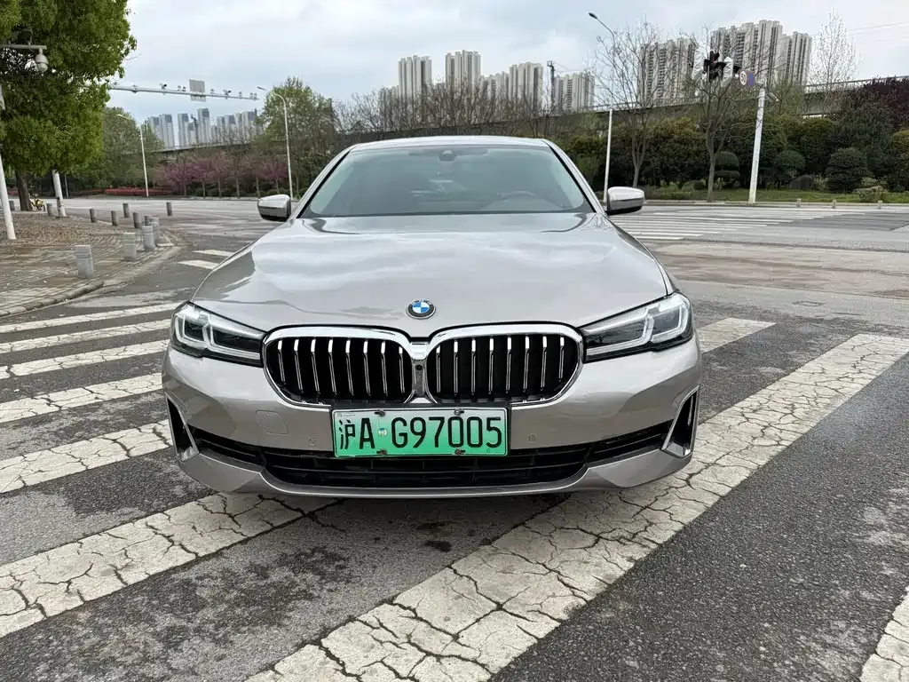 BMW 5 Series New Energy 2021 из CN, фото 10