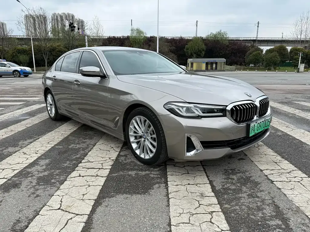 BMW 5 Series New Energy 2021 из CN, фото 9
