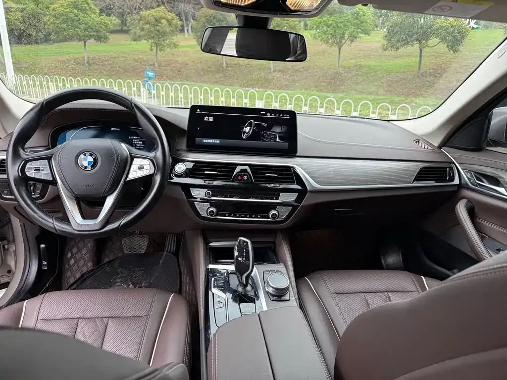 BMW 5 Series New Energy 2021 из CN, фото 4