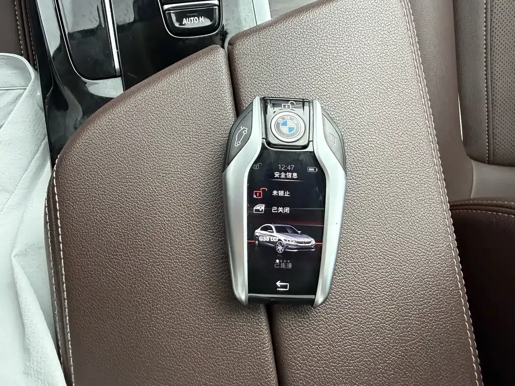 BMW 5 Series New Energy 2021 из CN, фото 6