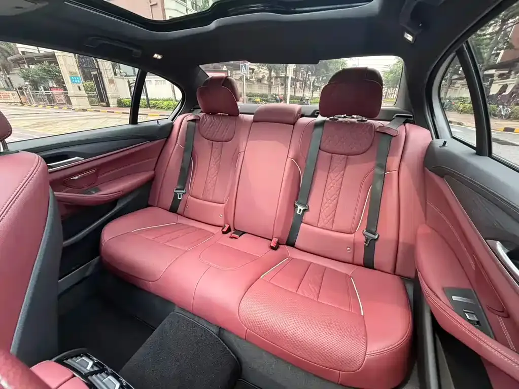 BMW 5 Series 2021 из CN, фото 4