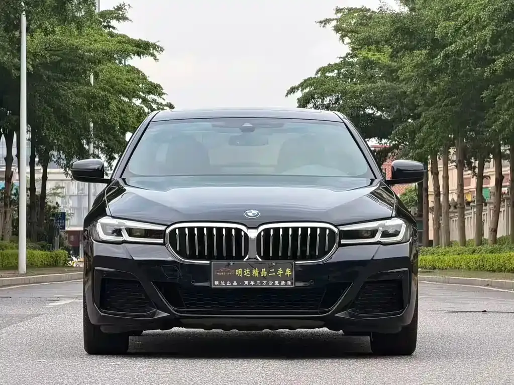 BMW 5 Series 2021 из CN, фото 6
