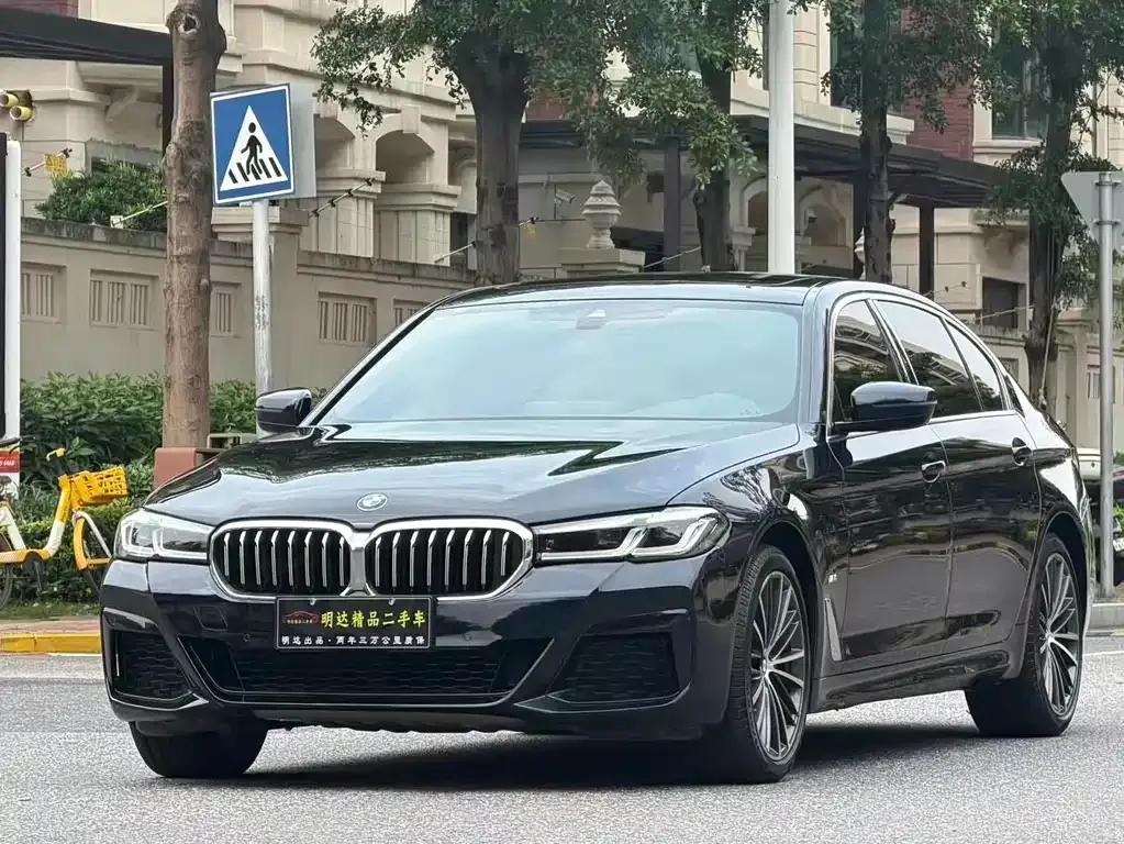 BMW 5 Series 2021 из CN, фото 9