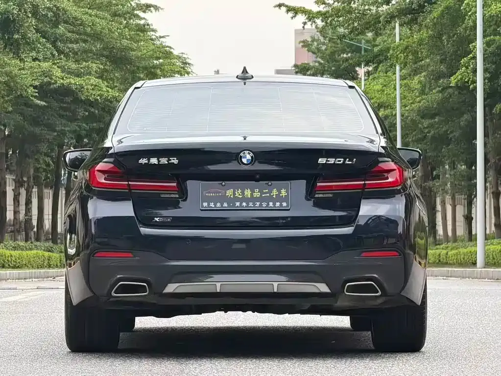 BMW 5 Series 2021 из CN, фото 8