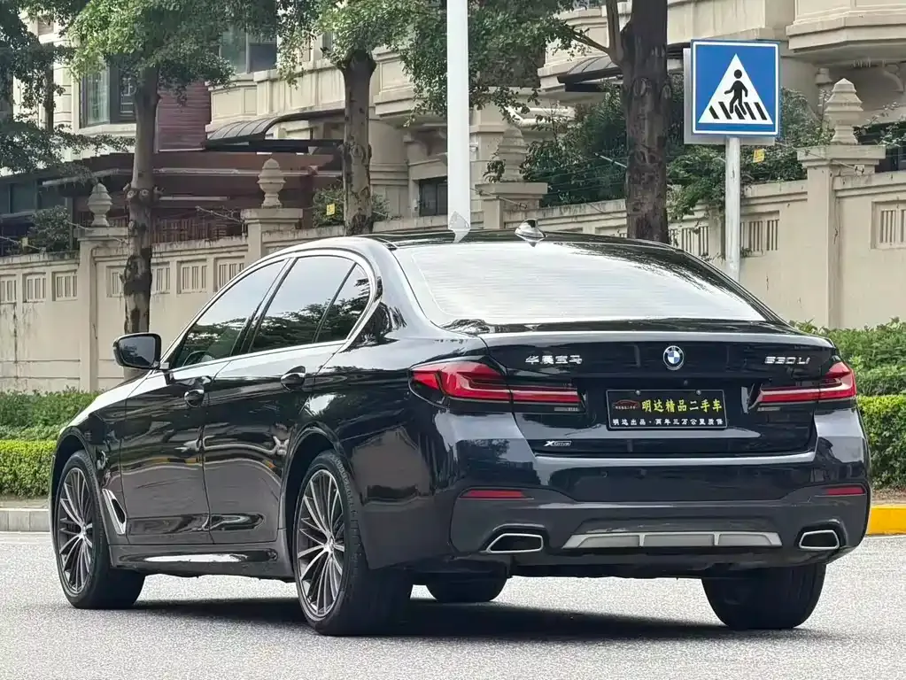 BMW 5 Series 2021 из CN, фото 5