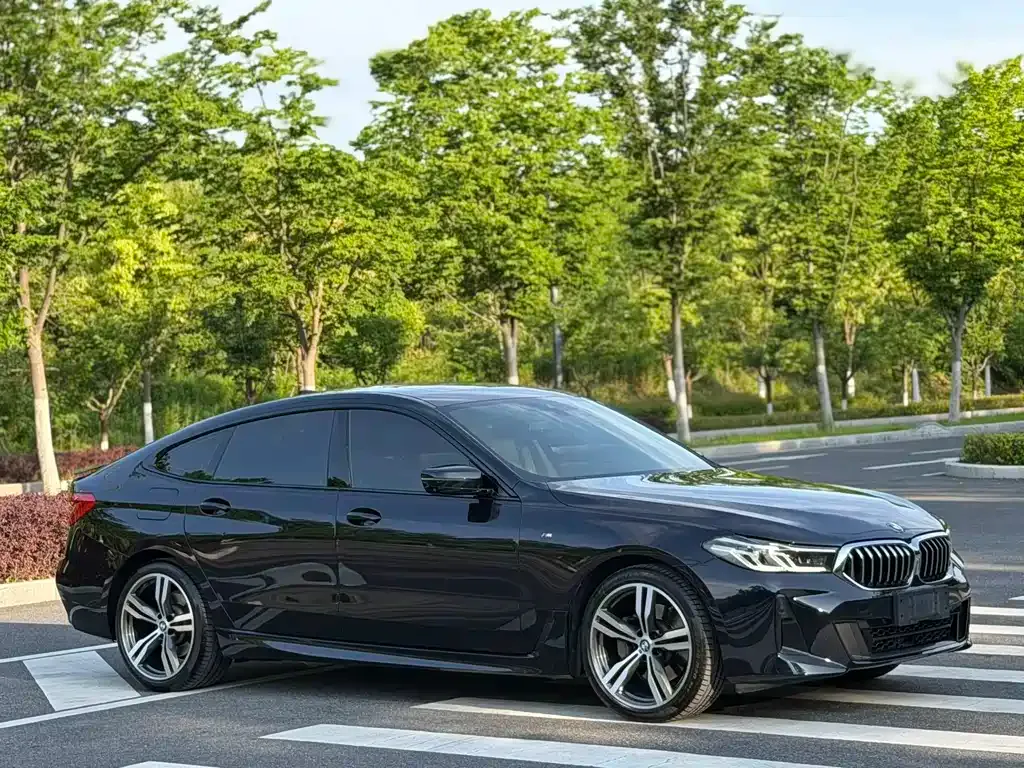 BMW 6 Series GT 2021 из CN, фото 4