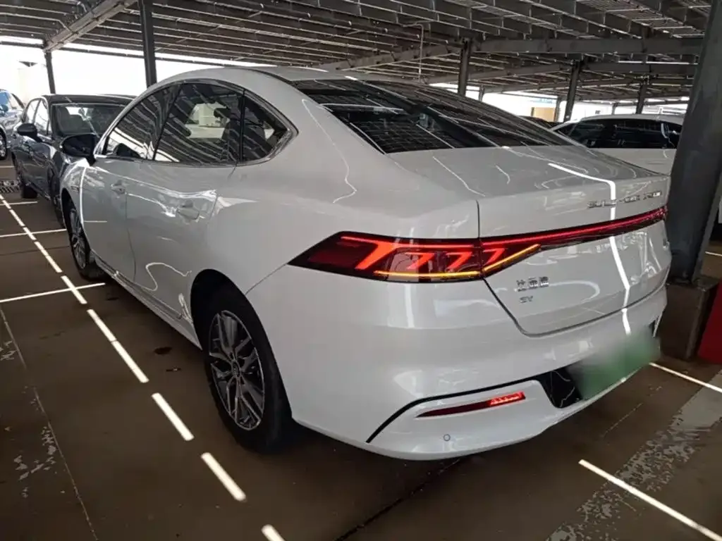 BYD Qin PLUS — фото 4