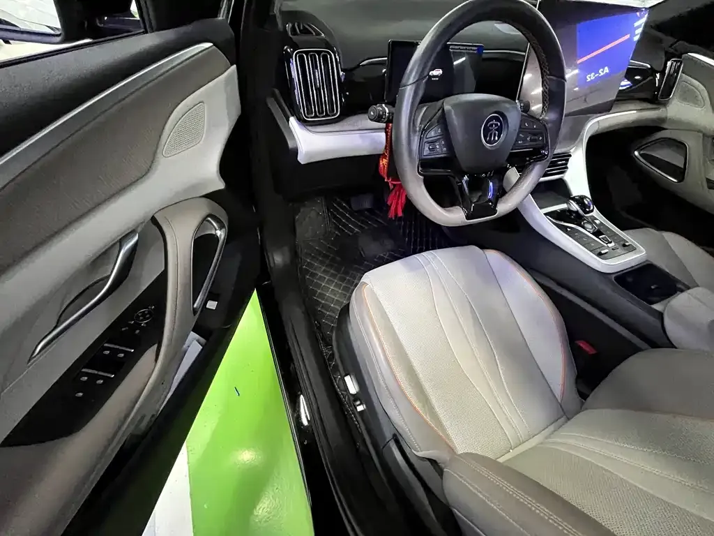BYD Pro New Energy — фото 4