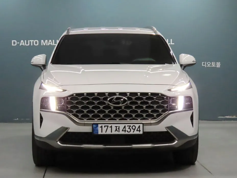 Hyundai Santafe 2023 из KR, фото 8