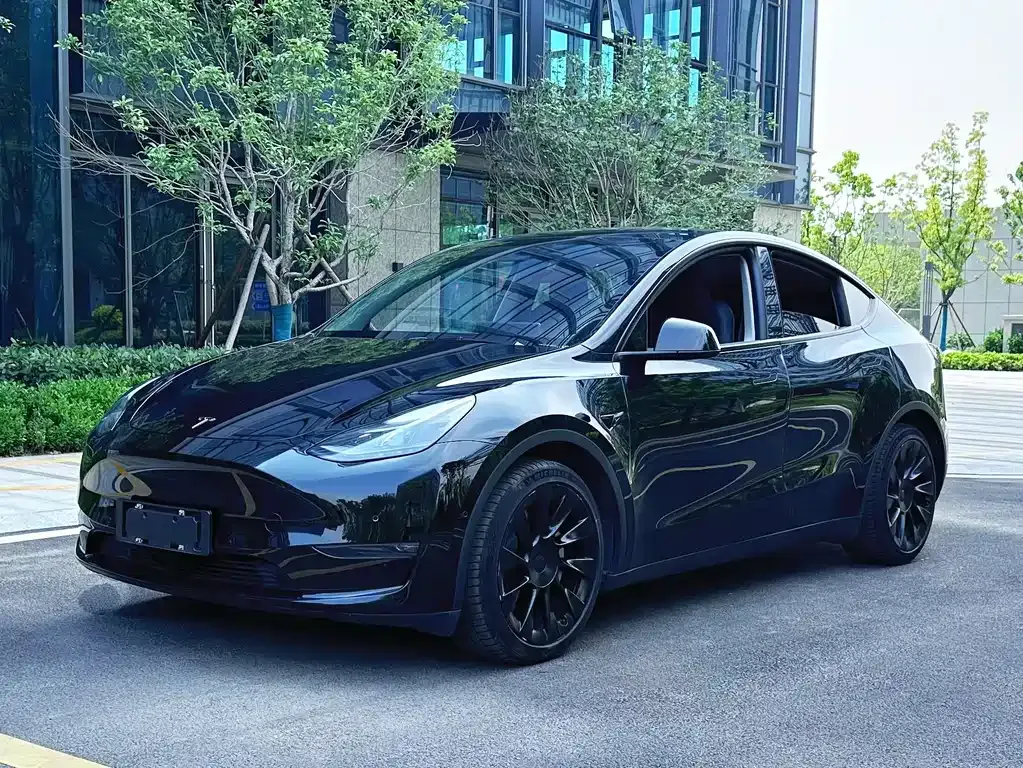 Tesla Model Y — фото 1