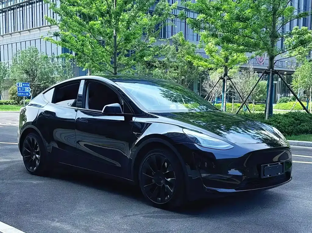 Tesla Model Y — фото 10