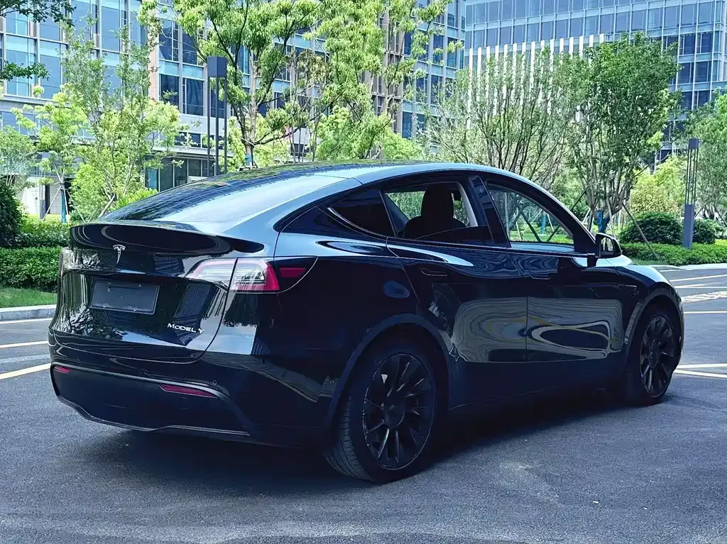 Tesla Model Y — фото 9