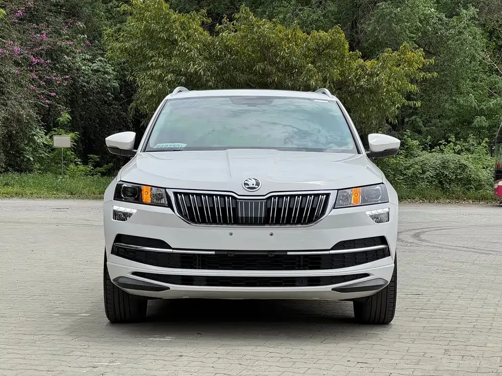 Skoda Karoq — фото 4