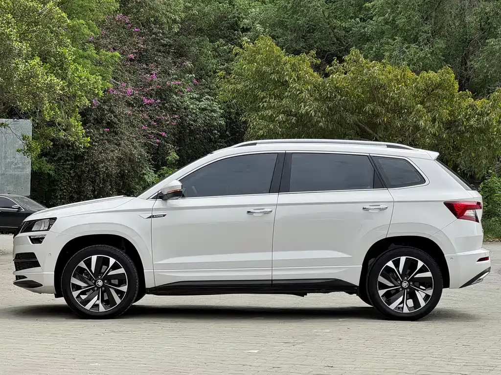 Skoda Karoq — фото 6