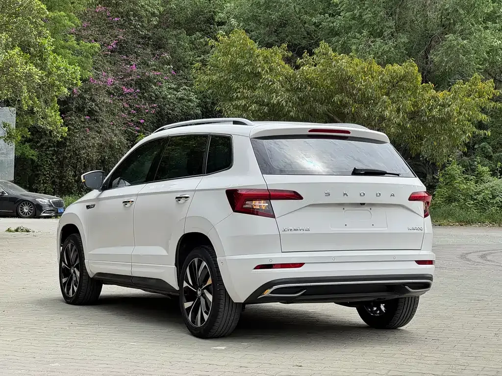 Skoda Karoq — фото 8