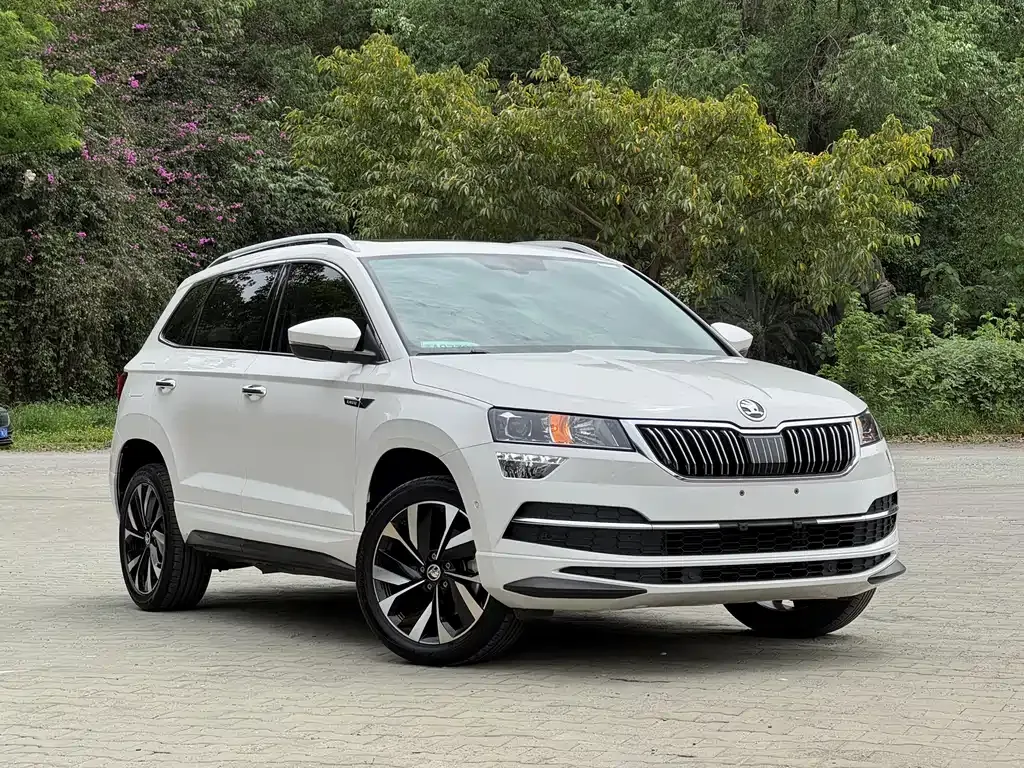 Skoda Karoq — фото 10