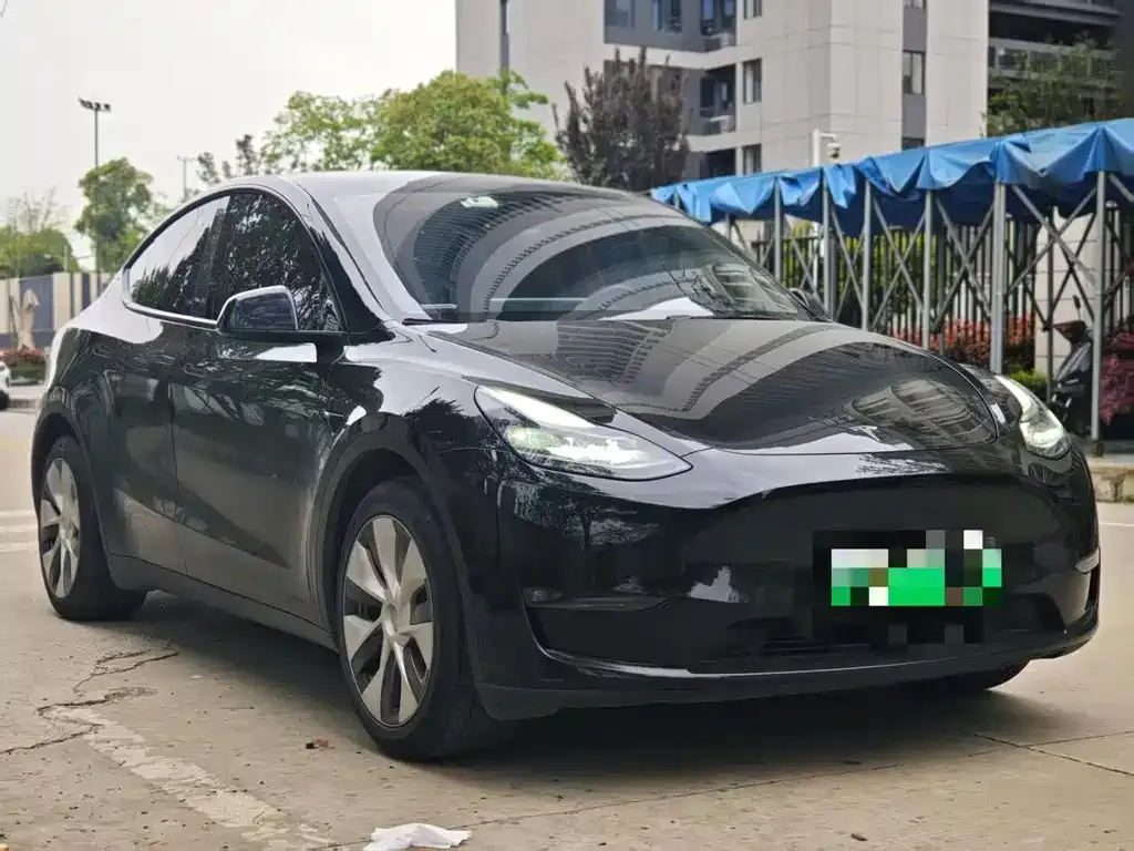 Tesla Model Y — фото 9