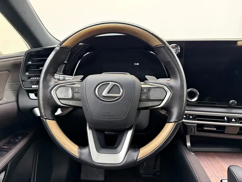 Lexus RX New Energy 2023 из CN, фото 10