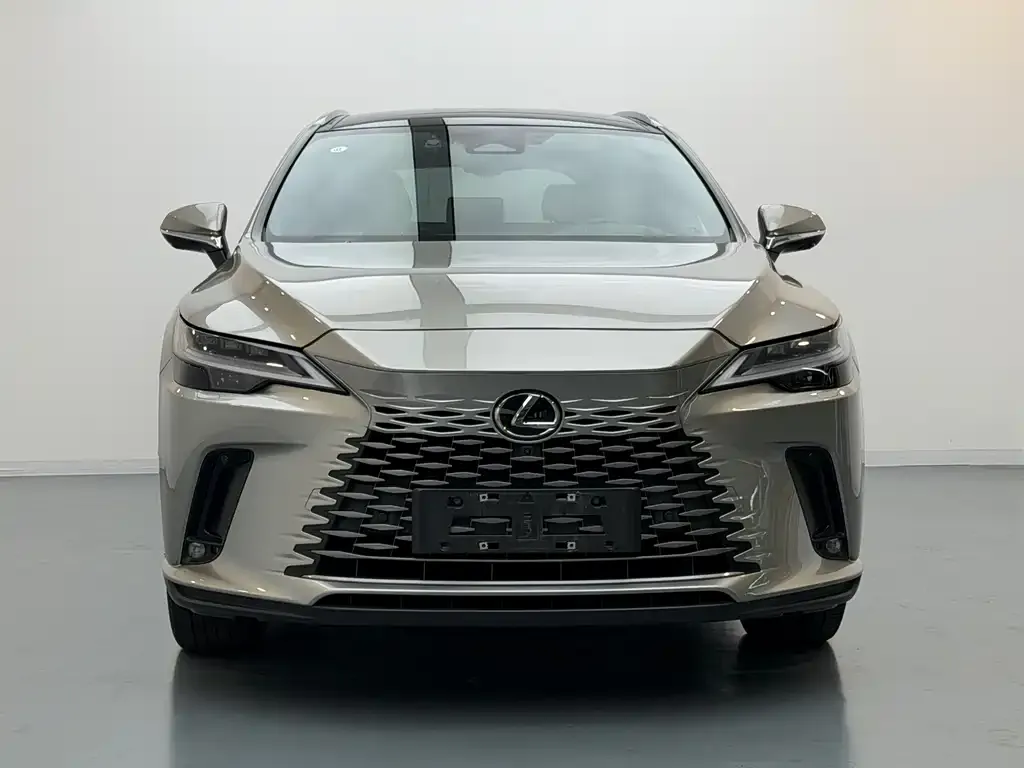 Lexus RX New Energy 2023 из CN, фото 4