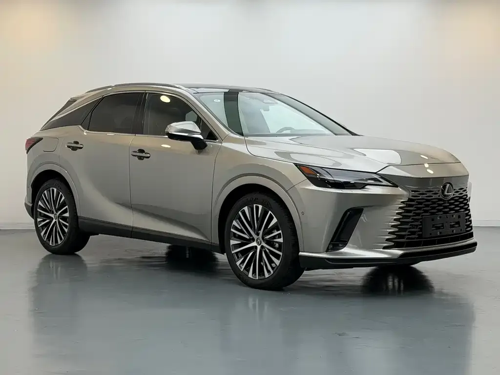Lexus RX New Energy 2023 из CN, фото 6