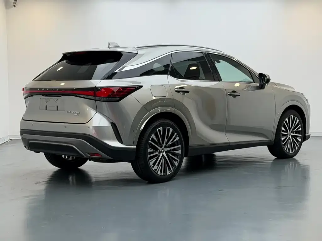 Lexus RX New Energy 2023 из CN, фото 9