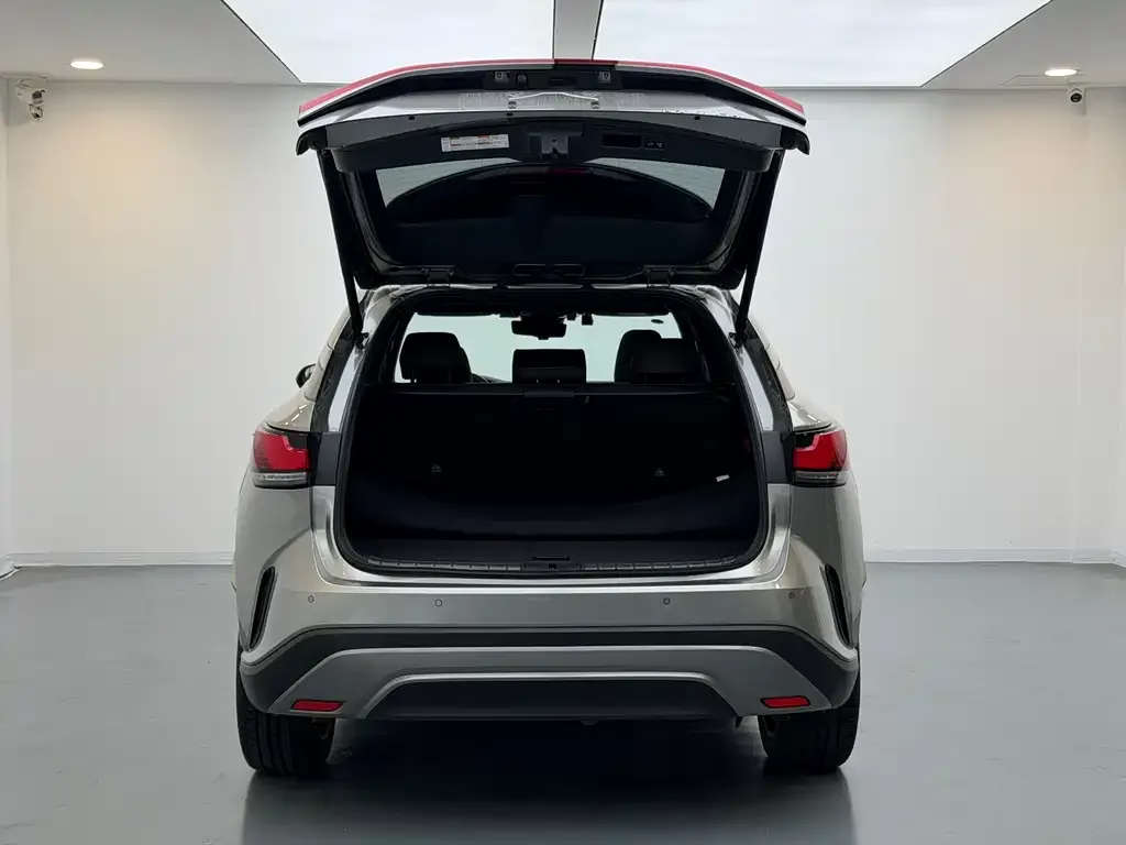 Lexus RX New Energy 2023 из CN, фото 5