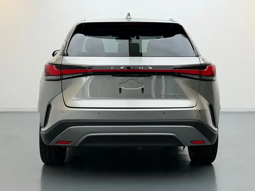 Lexus RX New Energy 2023 из CN, фото 8