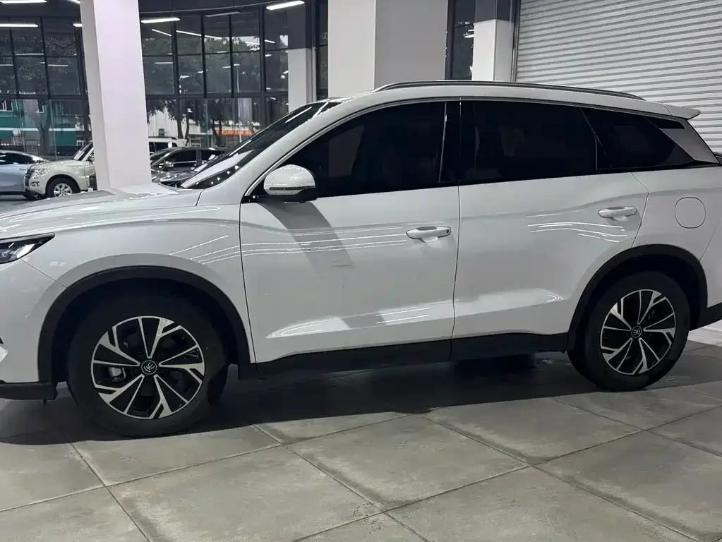 BYD Pro New Energy — фото 8
