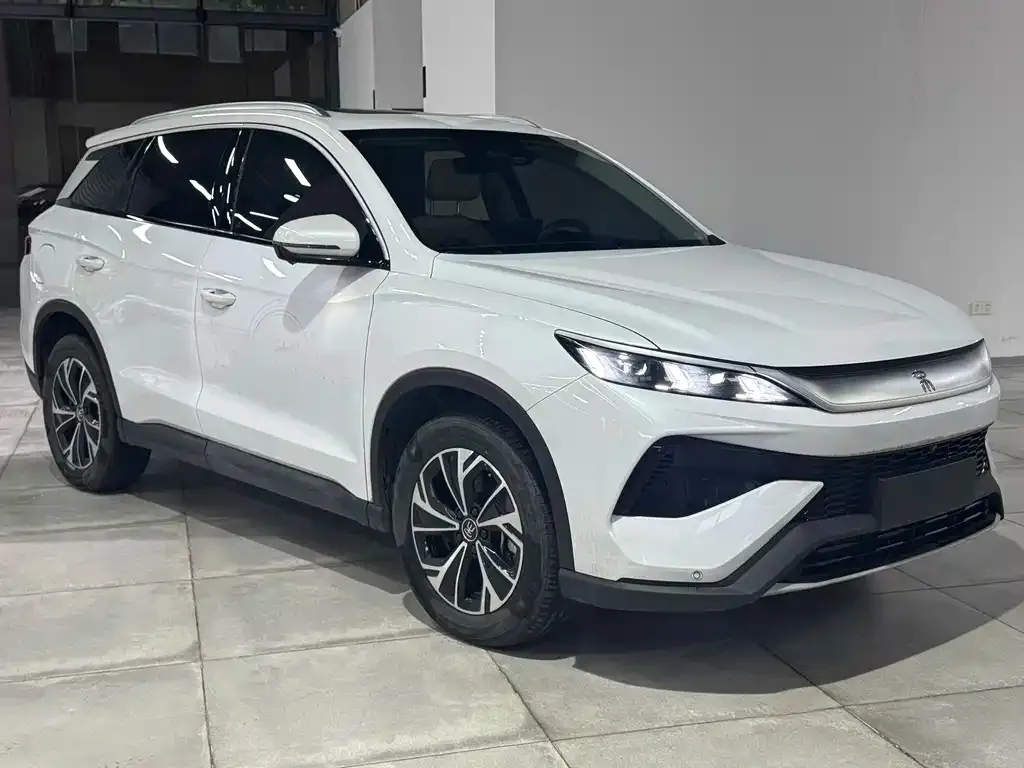 BYD Pro New Energy — фото 5