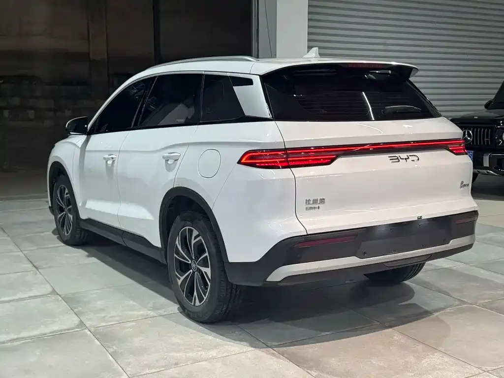 BYD Pro New Energy — фото 4