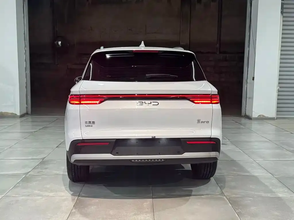 BYD Pro New Energy — фото 2