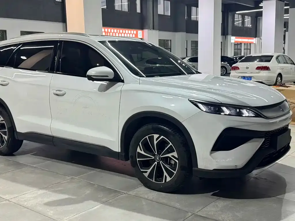 BYD Pro New Energy — фото 7