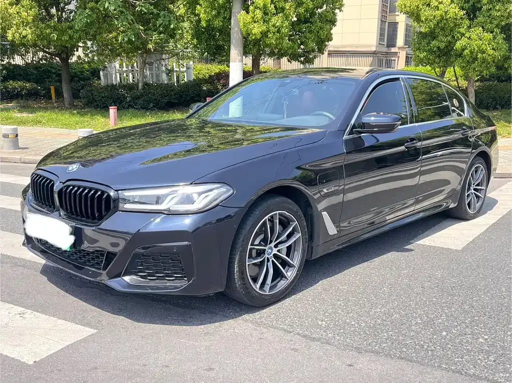 BMW 5 Series New Energy