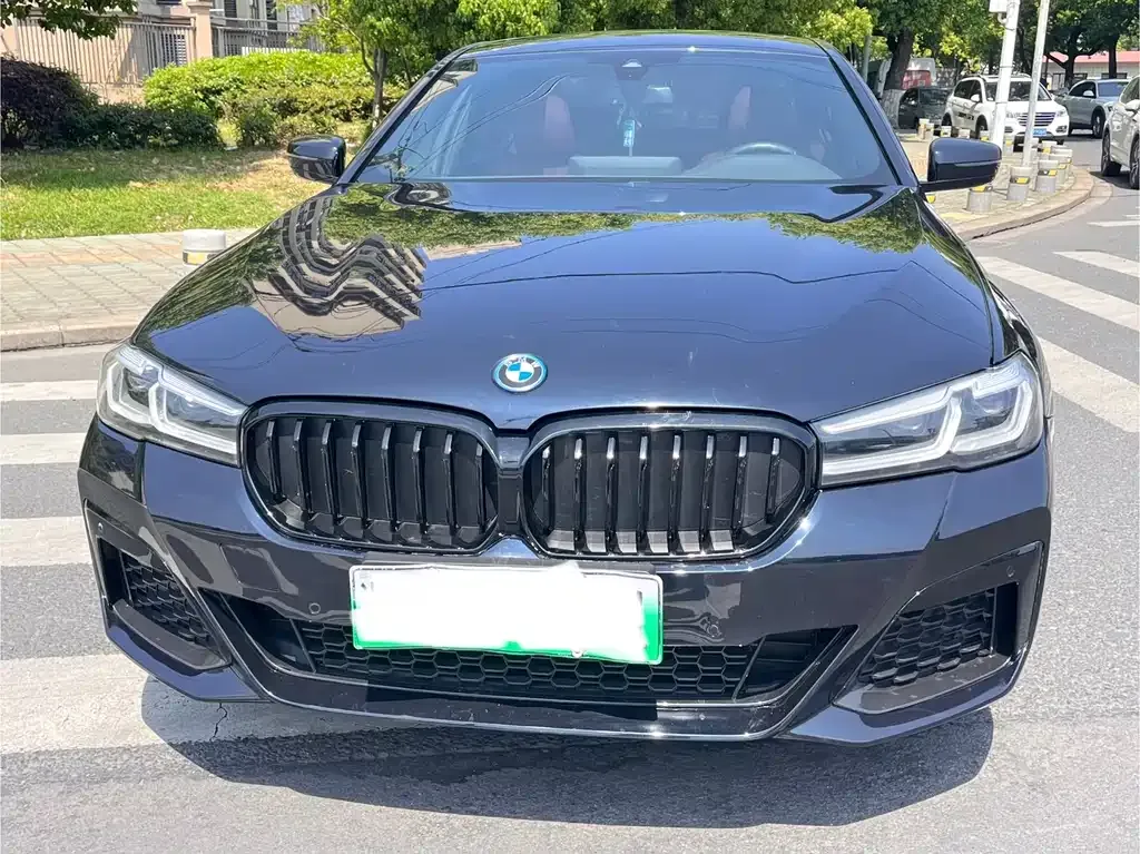BMW 5 Series New Energy 2022 из CN, фото 7