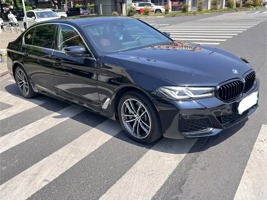 BMW 5 Series New Energy 2022 из CN, фото 8