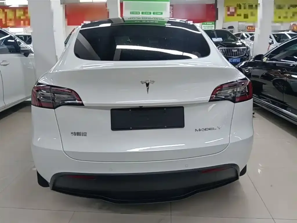 Tesla Model Y — фото 2