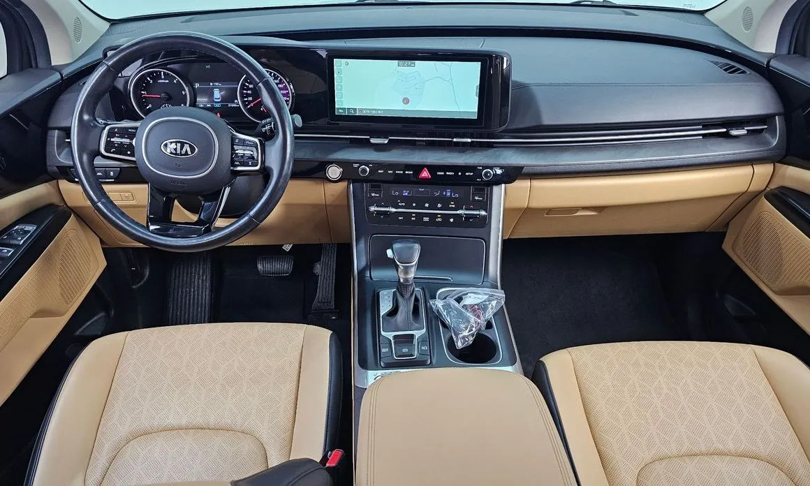 Kia Carnival — фото 10
