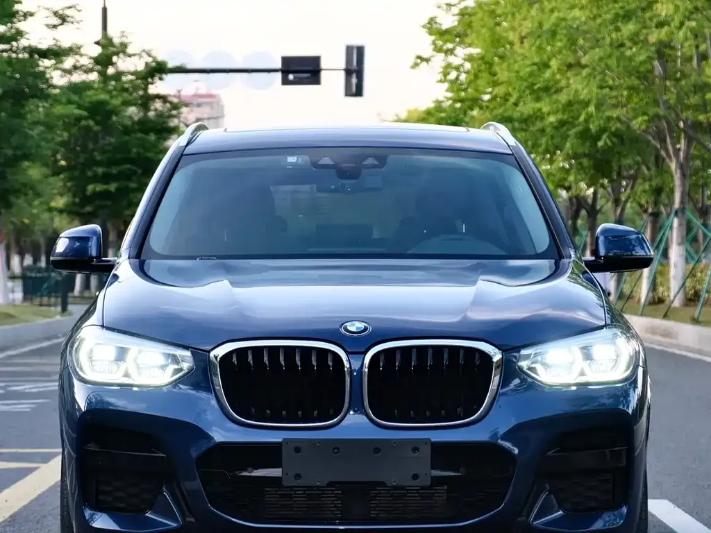 BMW X3 2021 из CN, фото 8