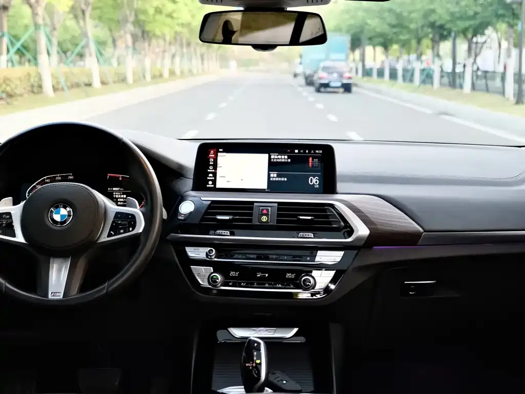BMW X3 2021 из CN, фото 9