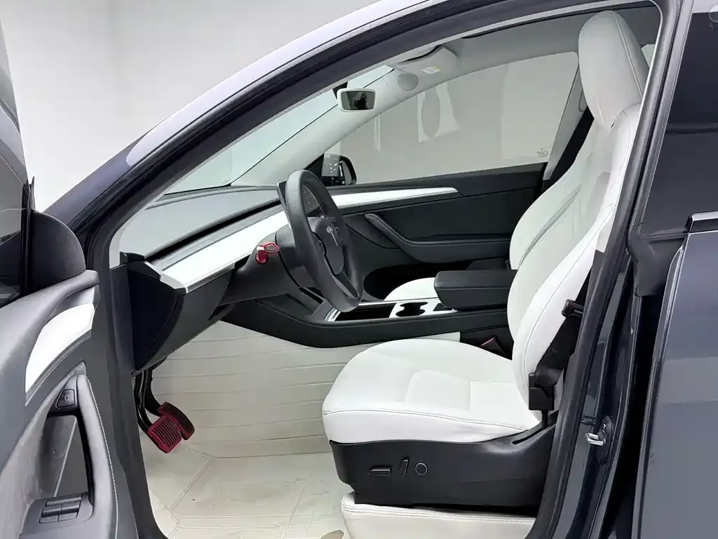 Tesla Model Y — фото 9