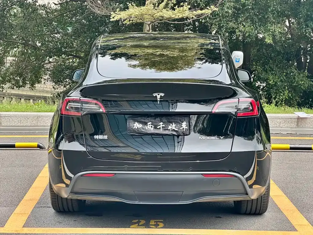 Tesla Model Y — фото 6