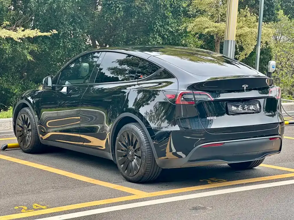 Tesla Model Y — фото 10