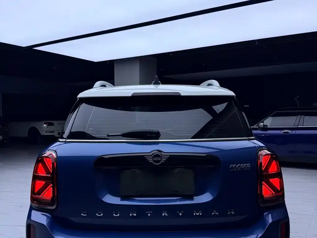MINI Countryman 2021 из CN, фото 3
