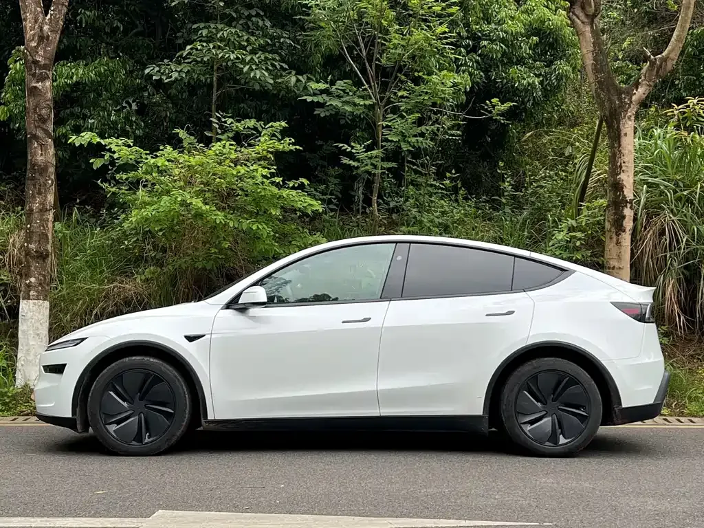 Tesla Model Y — фото 5