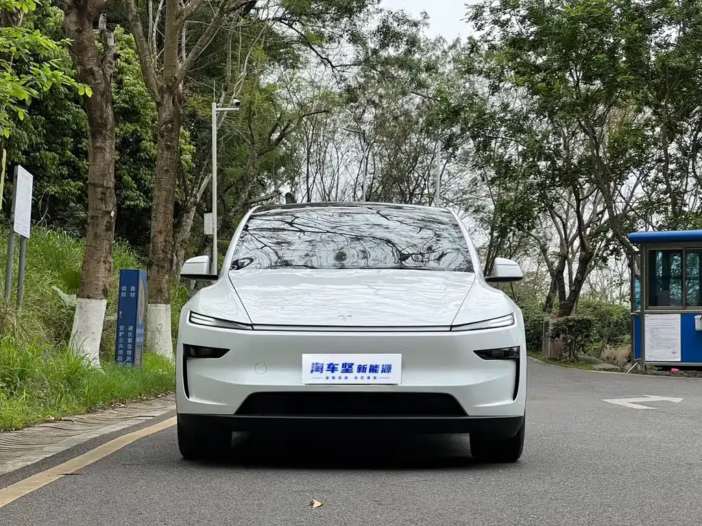 Tesla Model Y — фото 6