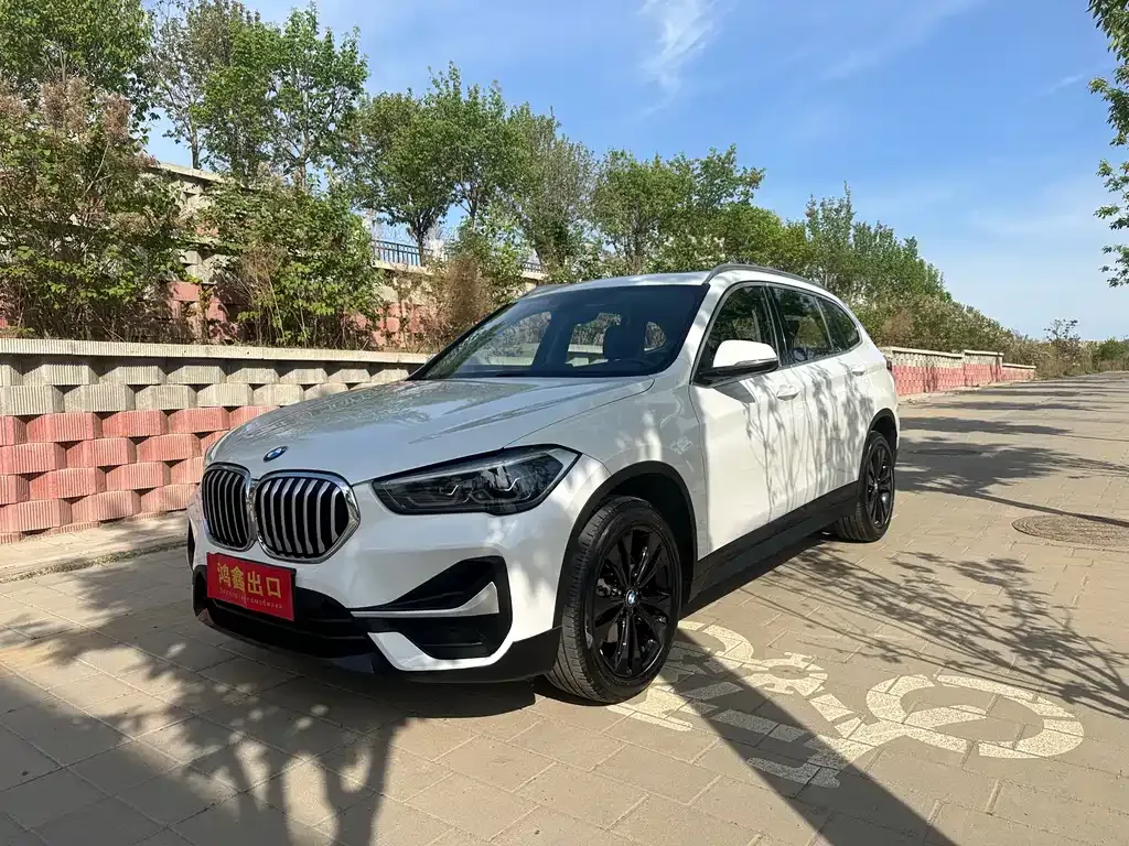 BMW X1 — фото 1