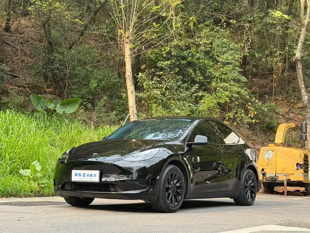 Tesla Model Y — фото 1