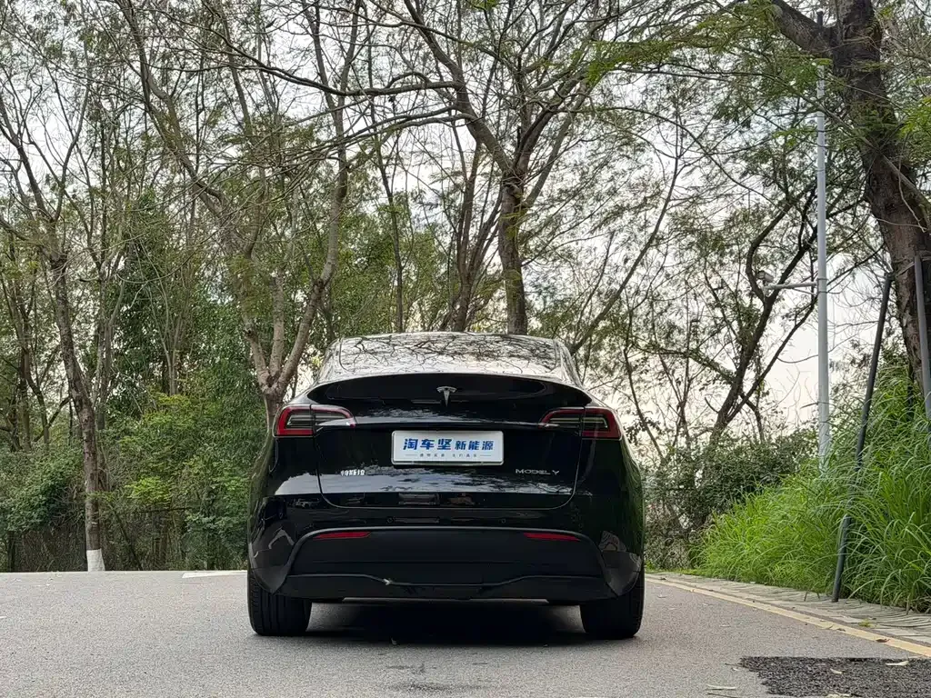 Tesla Model Y — фото 9