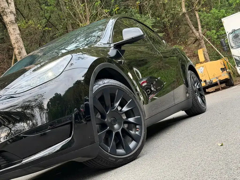 Tesla Model Y — фото 8